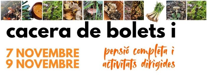 bolets i tardor