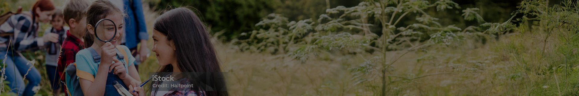 Clica per a més informació