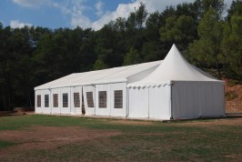 Carpa de La Figuera