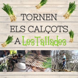 calçotades les tallades